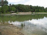 e0041168_94938.jpg