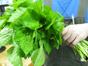 d0050871_11122148.gif