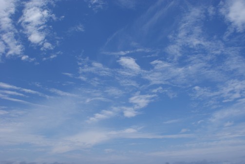 a0027972_1732416.jpg