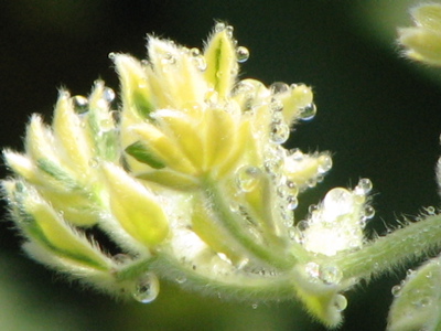 d0050472_17272135.jpg