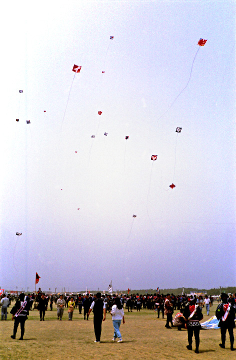 e0100772_22324494.jpg