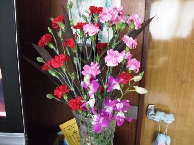c0078480_1515443.jpg