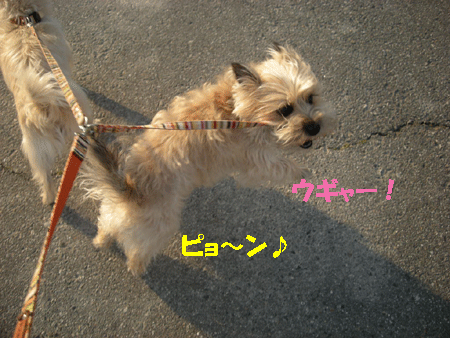 e0066883_2129350.gif