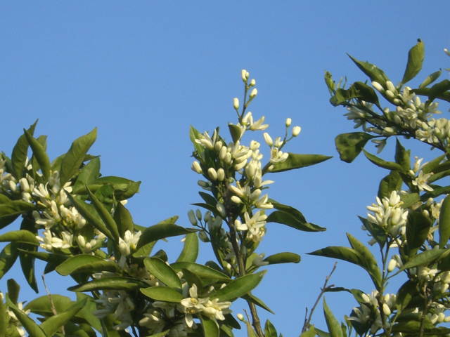 c0087392_0194233.jpg
