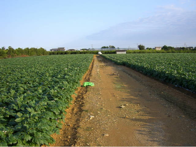 c0087392_02084.jpg