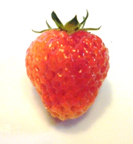 f0106693_1841557.jpg