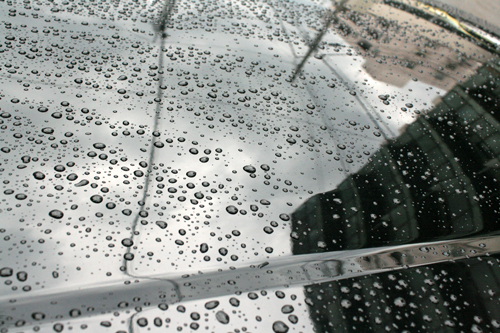 f0001895_1675213.jpg