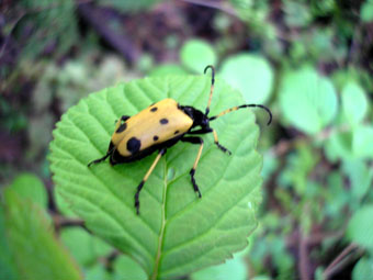 e0083097_1471792.jpg