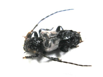 e0083097_1502935.jpg