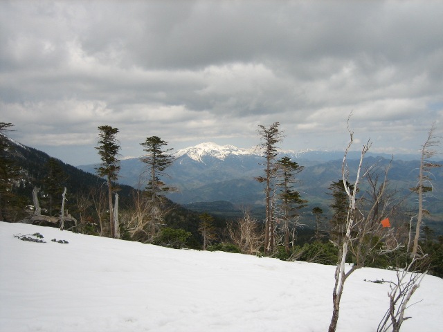 c0147398_13252057.jpg