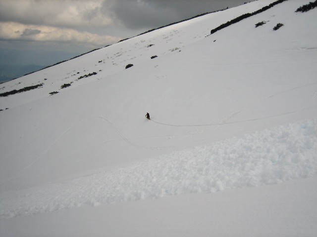 c0147398_1337301.jpg