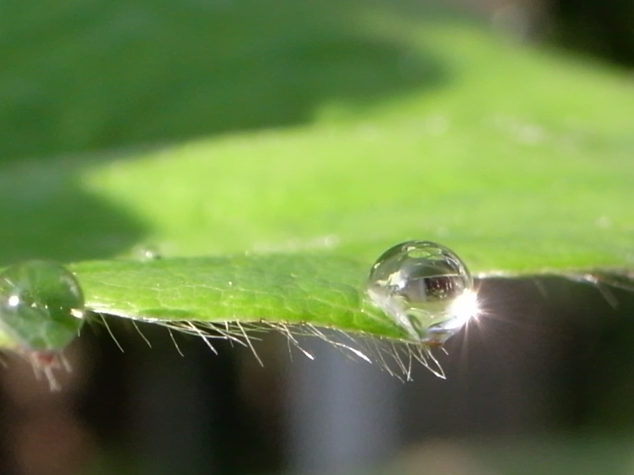 e0041699_23245479.jpg