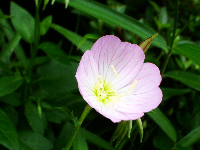 e0025300_10344031.jpg