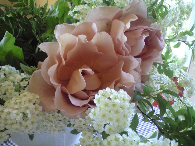 b0083902_110191.jpg