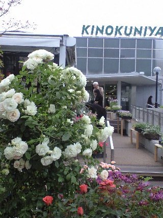 b0083902_948096.jpg