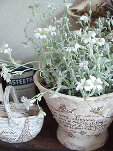 c0129702_13124521.gif