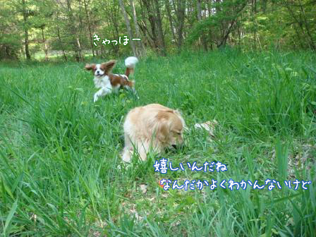 f0064906_1754390.jpg