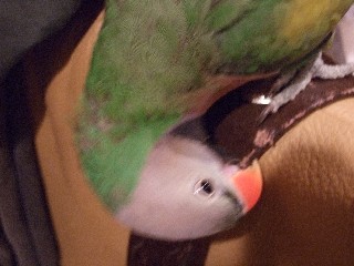 c0133013_11265359.jpg