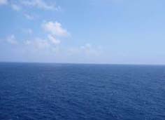 d0135814_1112554.jpg