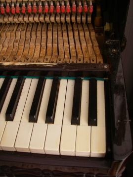 f0133814_7202578.jpg