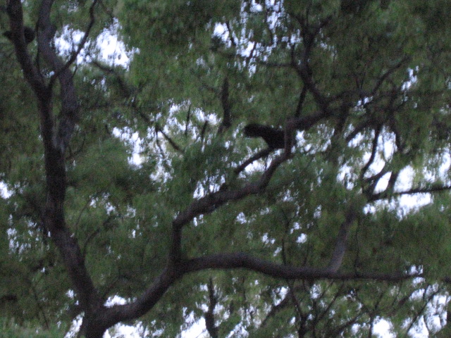 f0128316_742391.jpg