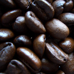 c0036617_2012080.jpg