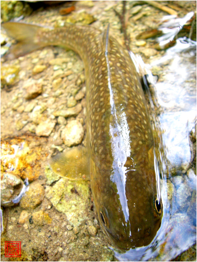a0072319_22455012.jpg