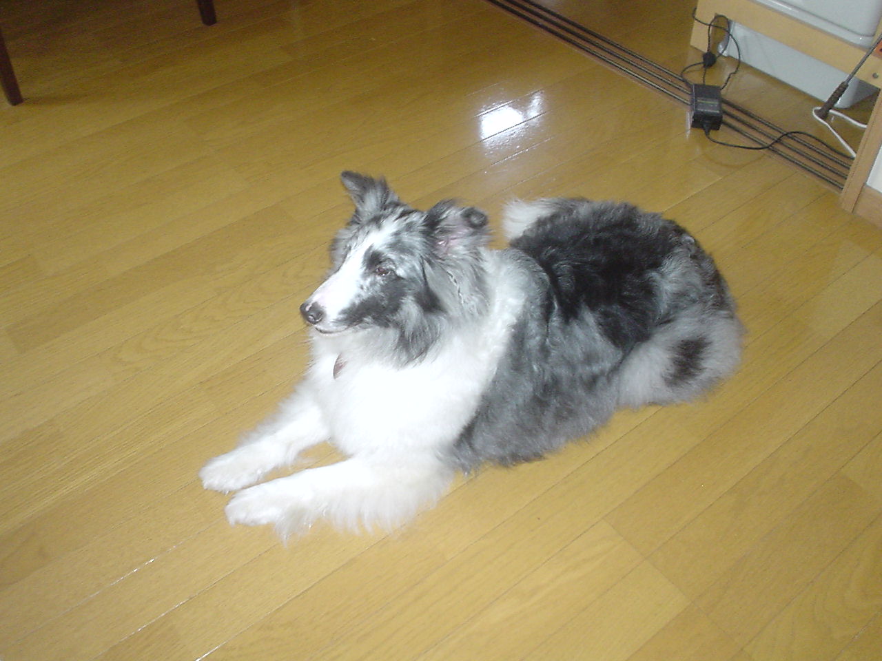 c0150520_17513696.jpg