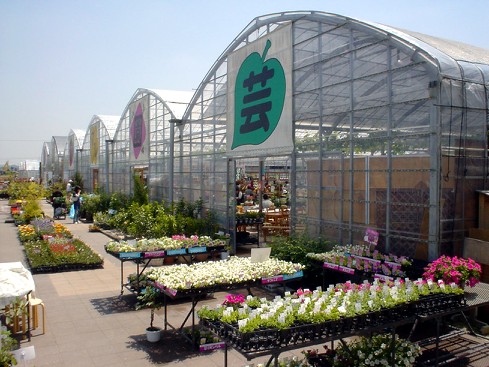 c0007822_8541755.jpg