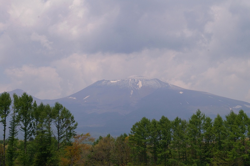 e0136424_1553510.jpg
