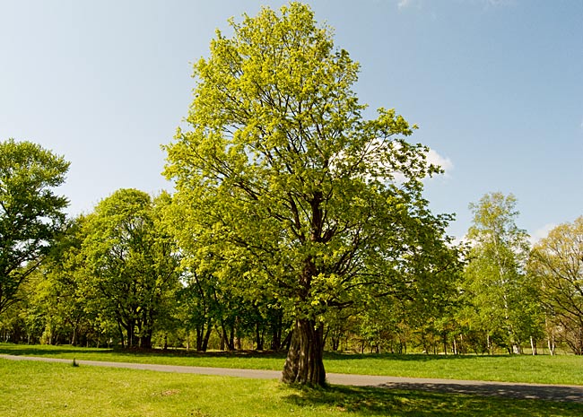 b0085526_1045190.jpg