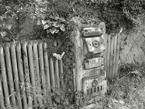 d0147727_10163793.jpg