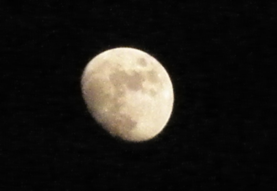 d0118729_20514211.jpg