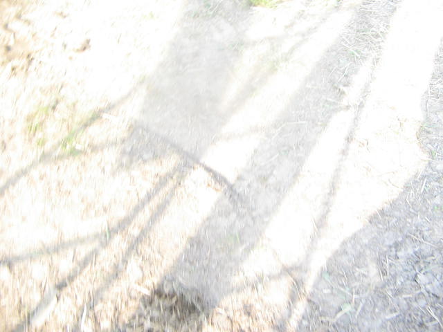 e0129831_1703792.jpg