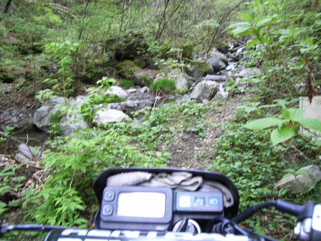 e0063632_11405741.jpg