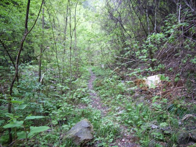 e0063632_11451021.jpg