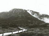 c0122445_1920589.jpg