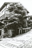 c0122445_19234020.jpg