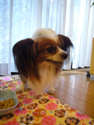 e0100046_2022637.jpg
