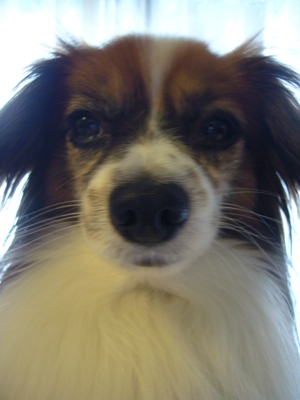 e0100046_2031443.jpg