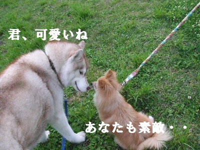 e0121548_21343751.jpg