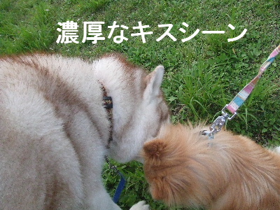 e0121548_21362951.jpg