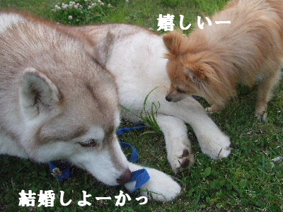 e0121548_2140978.jpg