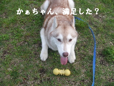 e0121548_2147129.jpg
