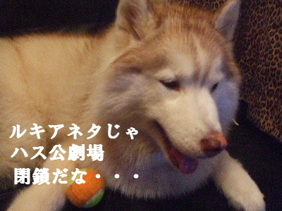 e0121548_2150365.jpg