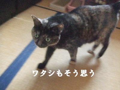 e0121548_2153177.jpg