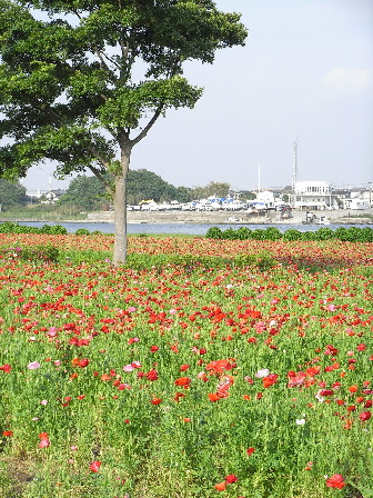 d0013149_7254334.jpg