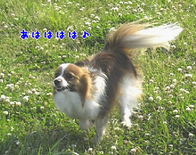 d0013149_823334.jpg