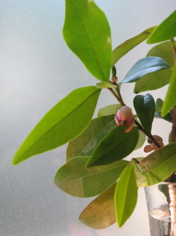 c0153259_20372772.jpg
