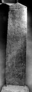 e0018762_1472831.jpg